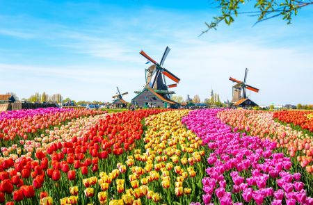  مکان‌های شگفت انگیز,اخبارگوناگون,خبرهای گوناگون 