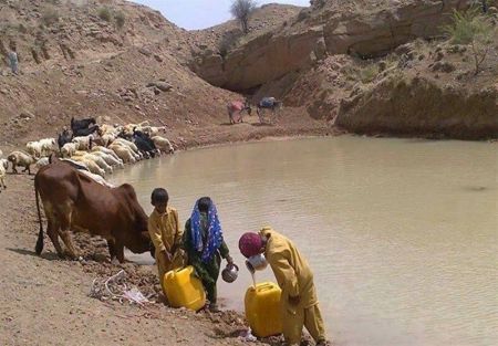  هوتگ‌ها,اخبار اجتماعی ,خبرهای اجتماعی 