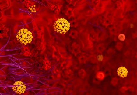سرطان،اخباربین الملل ،خبرهای بین الملل سرطان,اخباربین الملل ,خبرهای بین الملل