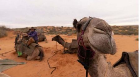  سفر زن جوان با شتر ,اخبارگوناگون,خبرهای گوناگون 