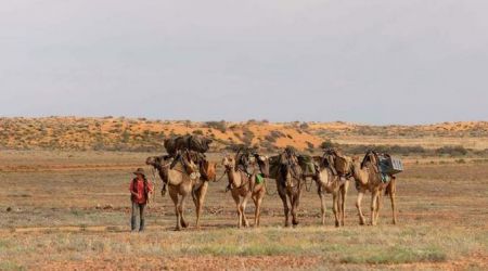 سفر زن جوان با شتر ،اخبارگوناگون,خبرهای گوناگون سفر زن جوان با شتر ,اخبارگوناگون,خبرهای گوناگون