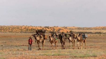  سفر زن جوان با شتر ,اخبارگوناگون,خبرهای گوناگون 