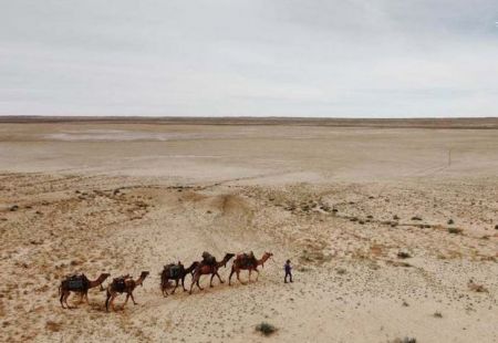  سفر زن جوان با شتر ,اخبارگوناگون,خبرهای گوناگون 