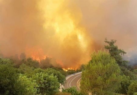 آتش‌سوزی گسترده در اسرائیل،اخبار بین الملل،خبرهای بین الملل