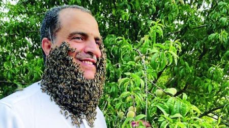 تحمل ۲۴۰ هزار نيش زنبور،اخبار گوناگون،خبرهای گوناگون تحمل ۲۴۰ هزار نيش زنبور،اخبار گوناگون،خبرهای گوناگون