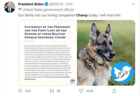 مرگ سگ بایدن،اخبار بین الملل،خبرهای بین الملل