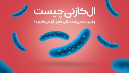 الکازئی الکازئی,لبنیات غنی شده,محصولات لبنی غنی شده