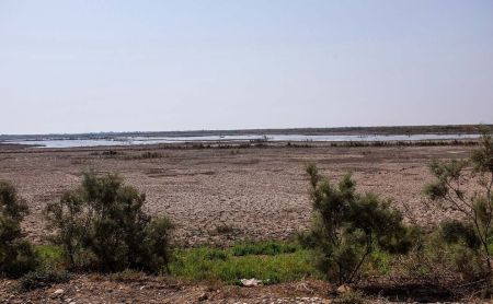 پایان زندگی در هورالعظیم،اخبارگوناگون,خبرهای گوناگون پایان زندگی در هورالعظیم,اخبارگوناگون,خبرهای گوناگون