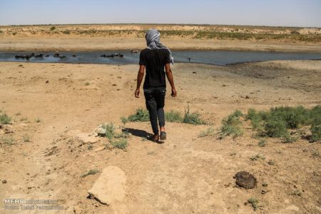 فعالان محیط زیستی ،اخباراجتماعی ،خبرهای اجتماعی فعالان محیط زیستی ,اخبار اجتماعی ,خبرهای اجتماعی