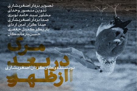  فیلم کوتاه هنرمند قشمی,اخبار فرهنگی,خبرهای فرهنگی 