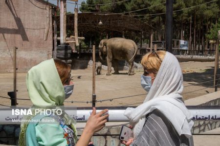 باغ وحش ارم،اخبارگوناگون,خبرهای گوناگون باغ وحش ارم,اخبارگوناگون,خبرهای گوناگون
