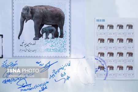 باغ وحش ارم،اخبارگوناگون,خبرهای گوناگون باغ وحش ارم,اخبارگوناگون,خبرهای گوناگون
