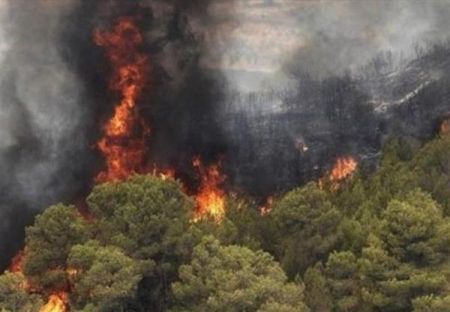 حوادث روز ،اخبارحوادث،خبرهای حوادث حوادث روز,اخبار حوادث,خبرهای حوادث