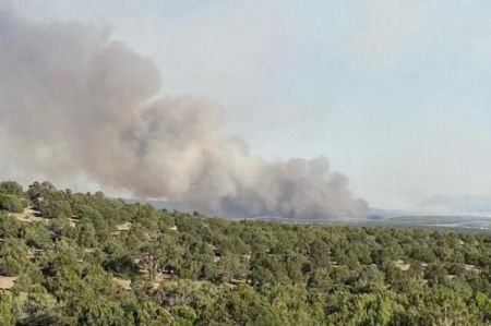 حوادث روز ،اخبارحوادث،خبرهای حوادث حوادث روز,اخبار حوادث,خبرهای حوادث