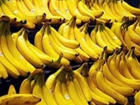 واردات موز ،اخباراقتصادی ،خبرهای اقتصادی واردات موز ,اخباراقتصادی ,خبرهای اقتصادی