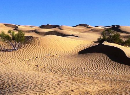 خشکسالی در ایران،اخبار اجتماعی،خبرهای اجتماعی خشکسالی در ایران،اخبار اجتماعی،خبرهای اجتماعی