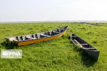 تالاب انزلی،اخبار اجتماعی،خبرهای اجتماعی تالاب انزلی،اخبار اجتماعی،خبرهای اجتماعی