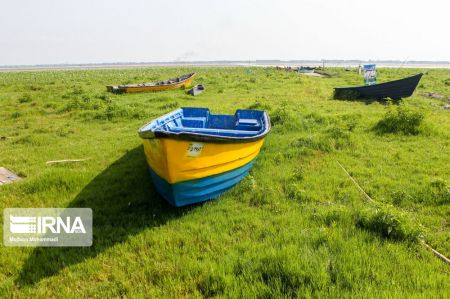 تالاب انزلی،اخبار اجتماعی،خبرهای اجتماعی تالاب انزلی،اخبار اجتماعی،خبرهای اجتماعی