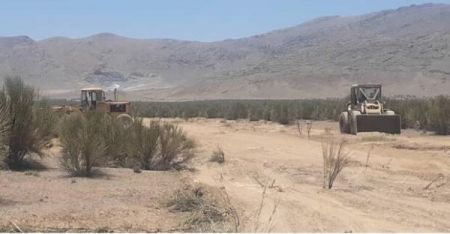 قطع درختچه ها توسط ذوب آهن،اخبار اجتماعی،خبرهای اجتماعی قطع درختچه ها توسط ذوب آهن،اخبار اجتماعی،خبرهای اجتماعی