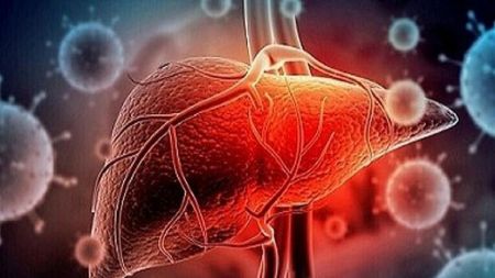 اثرات کرونا بر کبد،اخبار پزشکی،خبرهای پزشکی اثرات کرونا بر کبد،اخبار پزشکی،خبرهای پزشکی