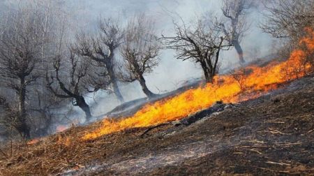 آتش سوزی های نارک گچساران،اخبار حوادث،خبرهای حوادث آتش سوزی های نارک گچساران،اخبار حوادث،خبرهای حوادث