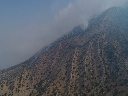 آتشسوزی جنگلها و مراتع کوه نارک،اخبار حوادث،خبرهای حوادث آتشسوزی جنگلها و مراتع کوه نارک،اخبار حوادث،خبرهای حوادث