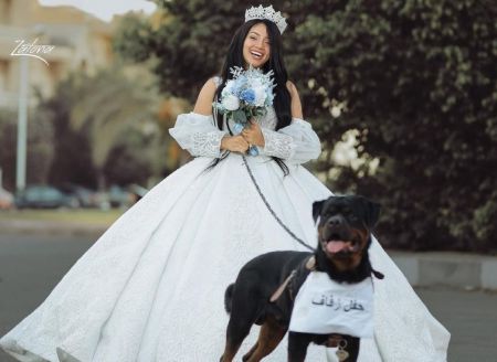 ازدواج جنجالی دختر مصری با سگ،اخبار گوناگون،خبرهای گوناگون