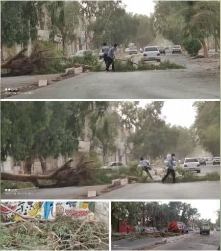 توفان شن در بم،اخبار حوادث،خبرهای حوادث توفان شن در بم،اخبار حوادث،خبرهای حوادث