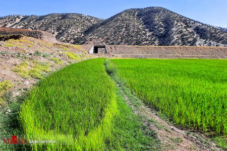 خشکیدن رودخانه لرستان ،اخباراجتماعی ،خبرهای اجتماعی خشکیدن رودخانه لرستان ,اخبار اجتماعی ,خبرهای اجتماعی