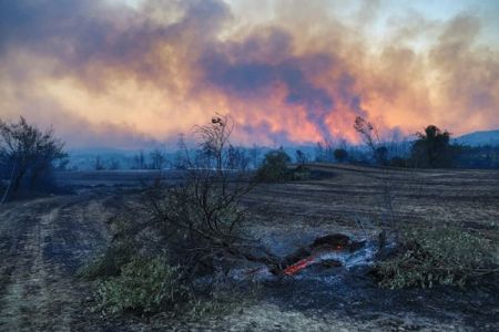  آتش سوزی‌ در جنگل‌های ترکیه,اخباربین الملل ,خبرهای بین الملل  