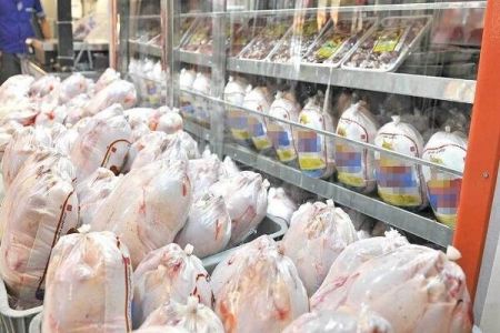 مرغ ،اخباراقتصادی ،خبرهای اقتصادی مرغ ,اخباراقتصادی ,خبرهای اقتصادی