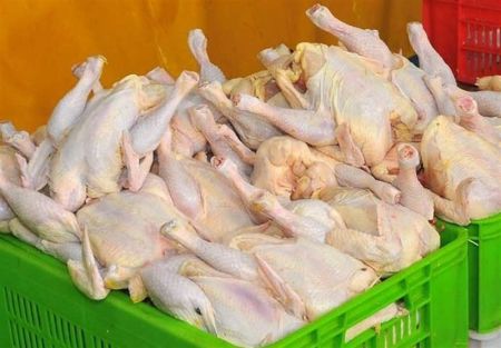 مرغ ،اخباراقتصادی ،خبرهای اقتصادی مرغ ,اخباراقتصادی ,خبرهای اقتصادی