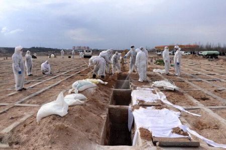 کرونا ،اخبار پزشکی ،خبرهای پزشکی کرونا ,اخبار پزشکی ,خبرهای پزشکی