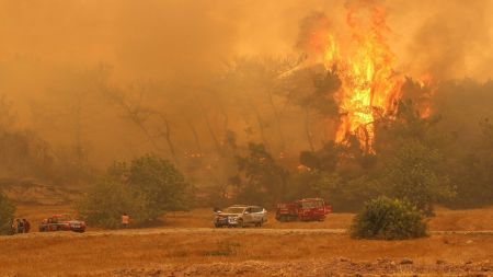 آتش سوزی در جنگل‌ها,اخباربین الملل ,خبرهای بین الملل  