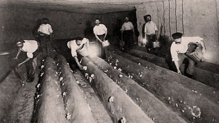 دخمه مردگان پاریس ،اخبارگوناگون,خبرهای گوناگون دخمه مردگان پاریس,اخبارگوناگون,خبرهای گوناگون