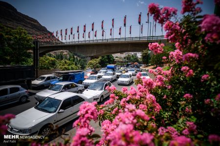 جاده چالوس ,اخبار اجتماعی ,خبرهای اجتماعی 