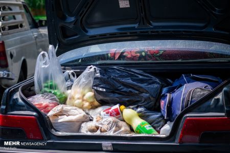 جاده چالوس ,اخبار اجتماعی ,خبرهای اجتماعی 