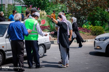 جاده چالوس ,اخبار اجتماعی ,خبرهای اجتماعی 