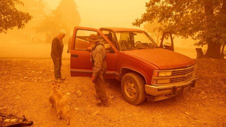 حوادث روز ،اخبارحوادث،خبرهای حوادث حوادث روز,اخبار حوادث,خبرهای حوادث