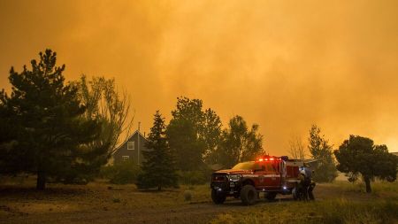 حوادث روز ،اخبارحوادث،خبرهای حوادث حوادث روز,اخبار حوادث,خبرهای حوادث