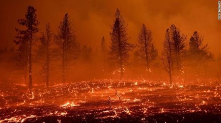 حوادث روز ،اخبارحوادث،خبرهای حوادث حوادث روز,اخبار حوادث,خبرهای حوادث