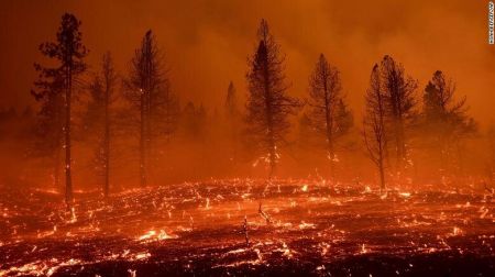   حوادث روز,اخبار حوادث,خبرهای حوادث 