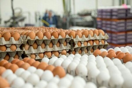   تخم مرغ ,اخباراقتصادی ,خبرهای اقتصادی 