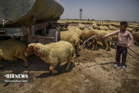 آبرسانی تانکر‌های ارتش  ,اخبار اجتماعی ,خبرهای اجتماعی 