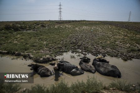آبرسانی تانکرهای ارتش ،اخباراجتماعی ،خبرهای اجتماعی آبرسانی تانکرهای ارتش ,اخبار اجتماعی ,خبرهای اجتماعی