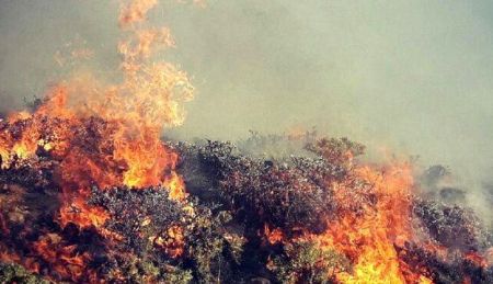 آتش سوزی مراتع ،اخباراجتماعی ،خبرهای اجتماعی آتش سوزی مراتع ,اخبار اجتماعی ,خبرهای اجتماعی