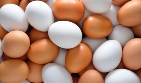 قیمت تخم مرغ،اخبار اقتصادی،خبرهای اقتصادی قیمت تخم مرغ،اخبار اقتصادی،خبرهای اقتصادی