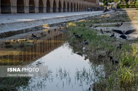 کاهش آب زاینده رود،تصاویر خبری،عکس خبری