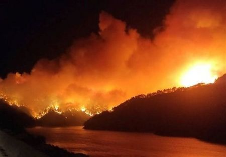 آتش سوزی جنگل های ترکیه،اخبار بین الملل،خبرهای بین الملل
