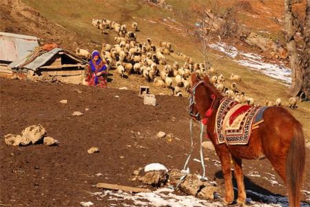  مستند تنهایی  ,اخبار فرهنگی,خبرهای فرهنگی 